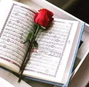 Mengenal Thaharah dalam Islam