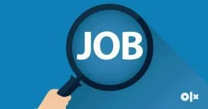 Peluang Karir Untuk Lulusan SMA/SMK yang Perlu Anda Ketahui